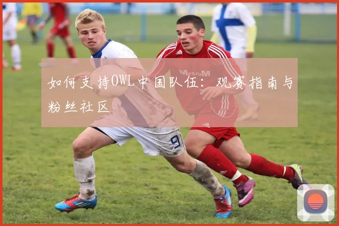 如何支持OWL中国队伍：观赛指南与粉丝社区